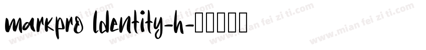 markpro ldentity-h字体转换